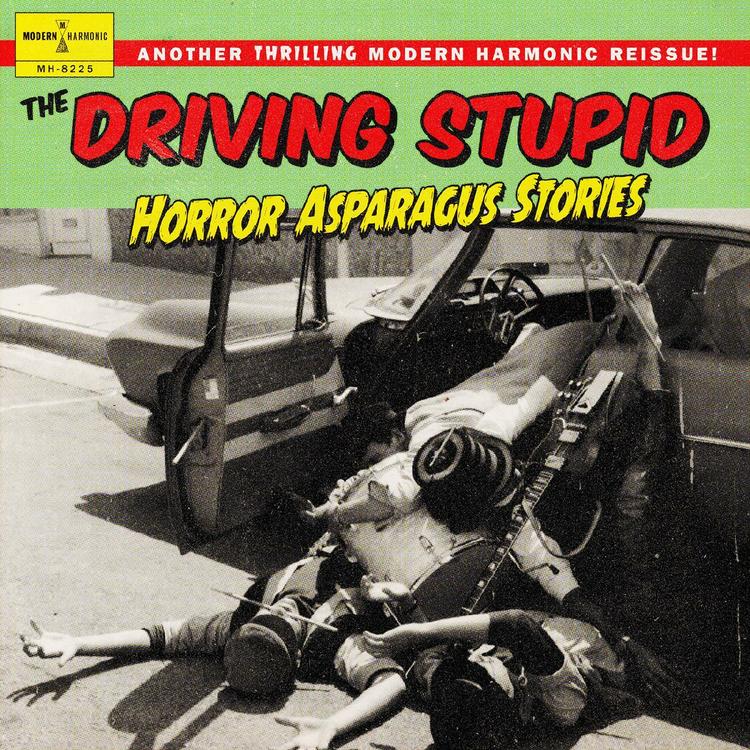 The Driving Stupid's avatar image