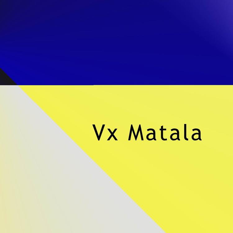 Vx Matala's avatar image