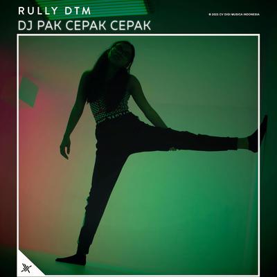 DJ Ku Sudah Mencoba's cover