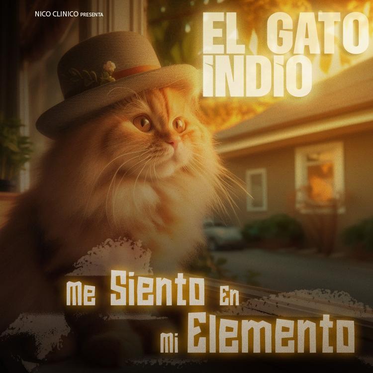 El Gato Indio's avatar image