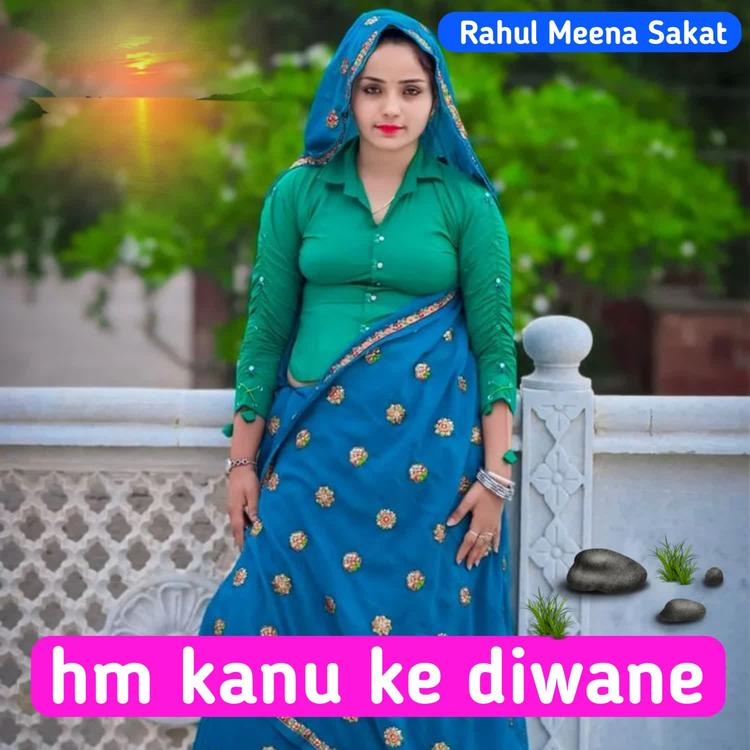 Rahul Meena Sakat's avatar image