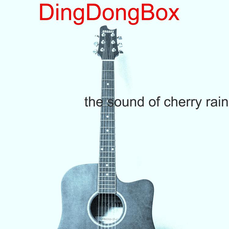 DingDongBox's avatar image