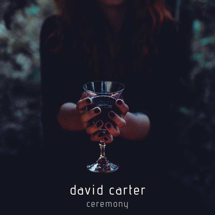 David Carter's avatar image