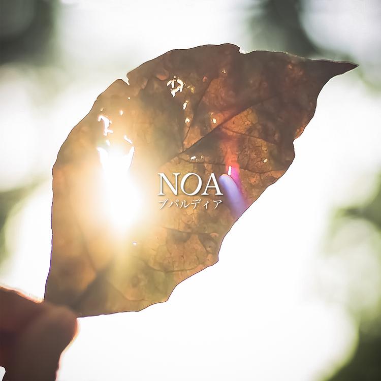 Noa's avatar image