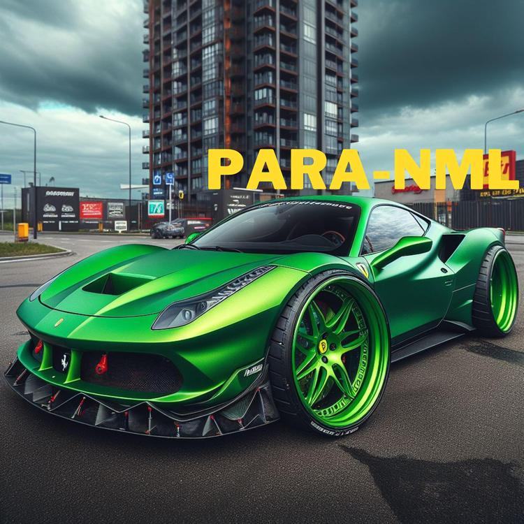 PARA-NML's avatar image