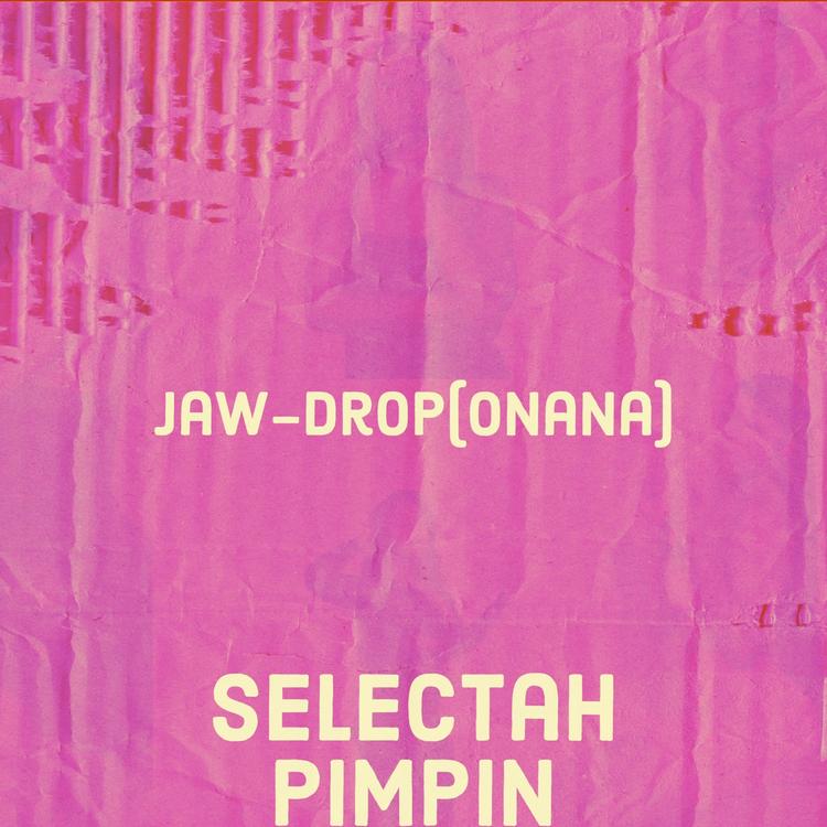 Selectah Pimpin's avatar image