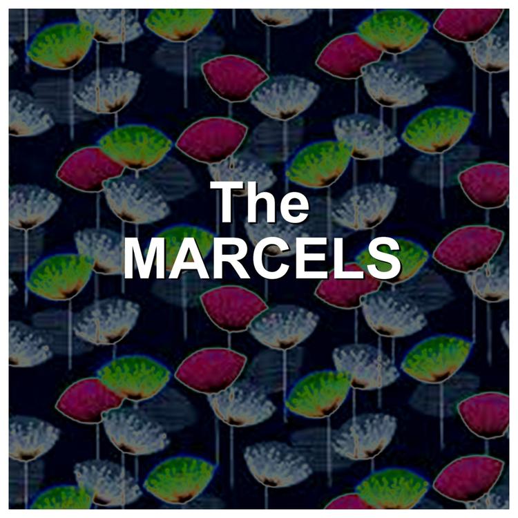 Marcels's avatar image