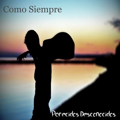 Parecidos Desconocidos's cover