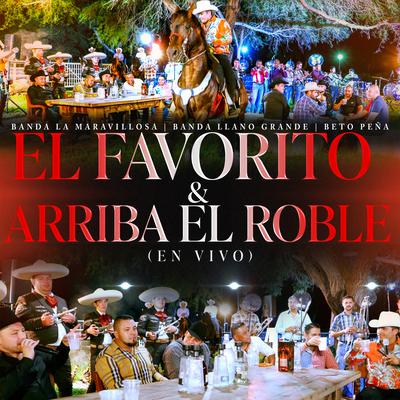 El Favorito & Arriba El Roble (En Vivo)'s cover