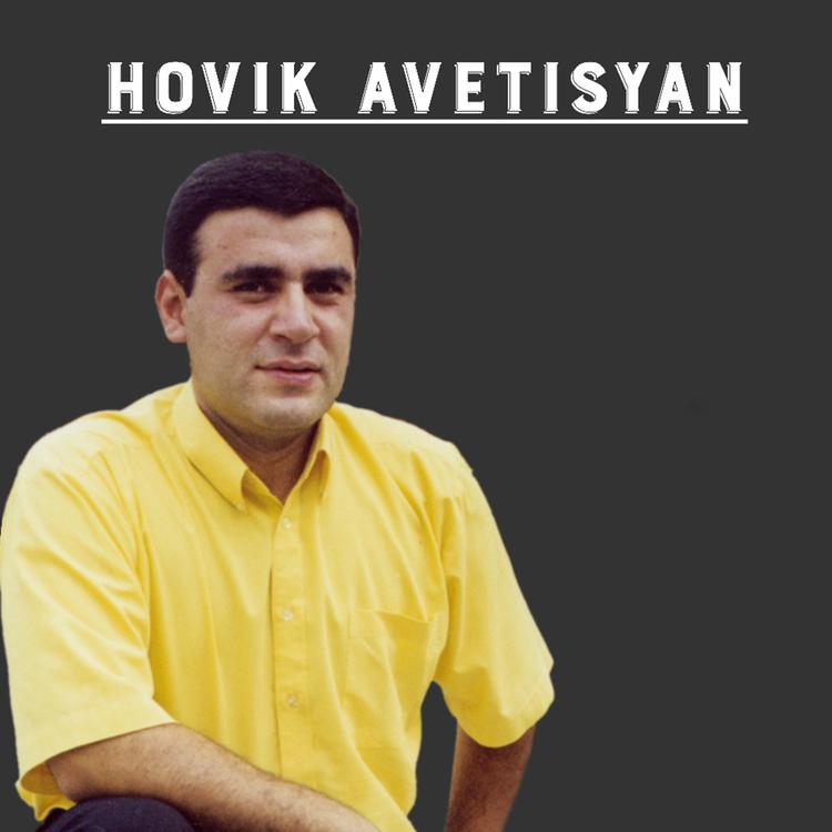 Hovik Avetisyan's avatar image