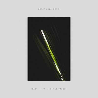 Don't Look Down (feat. Blake Young) By CASS, Blake Young's cover