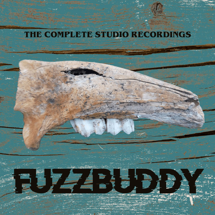 Fuzzbuddy's avatar image