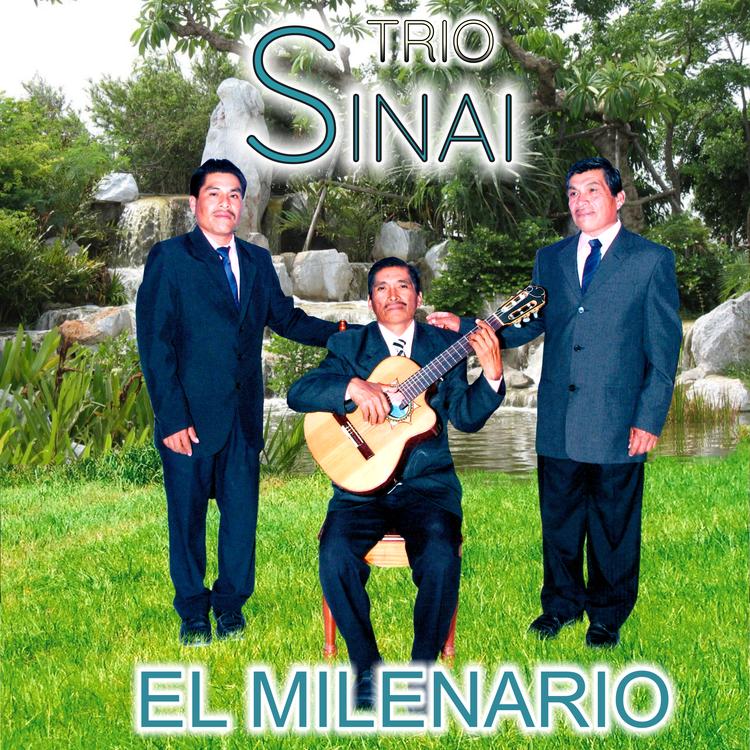 Trio Sinai's avatar image