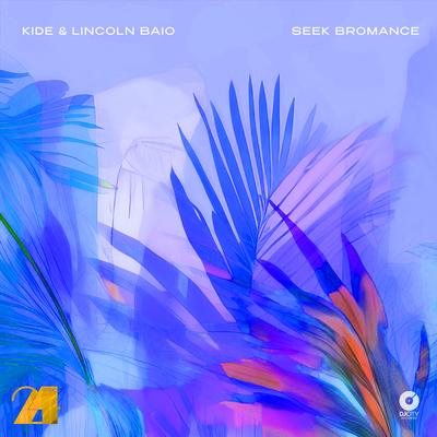 Seek Bromance's cover