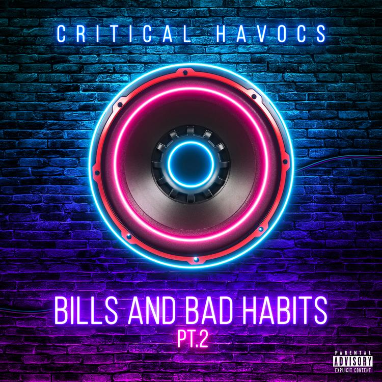 Critical Havocs's avatar image