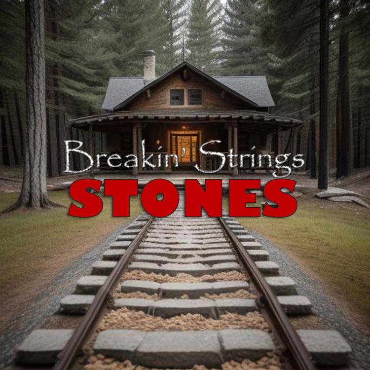 Breakin' Strings's avatar image
