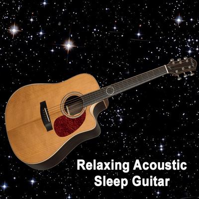 Graceful Moment By Acoustic Sleep Guitar's cover