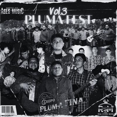 Grupo Pluma Fina's cover