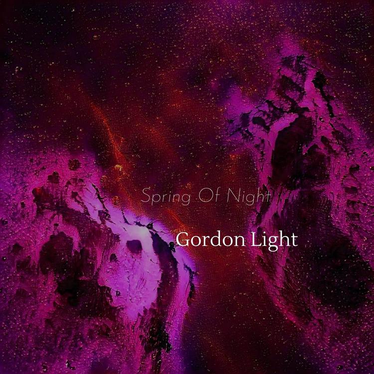 Gordon Light's avatar image