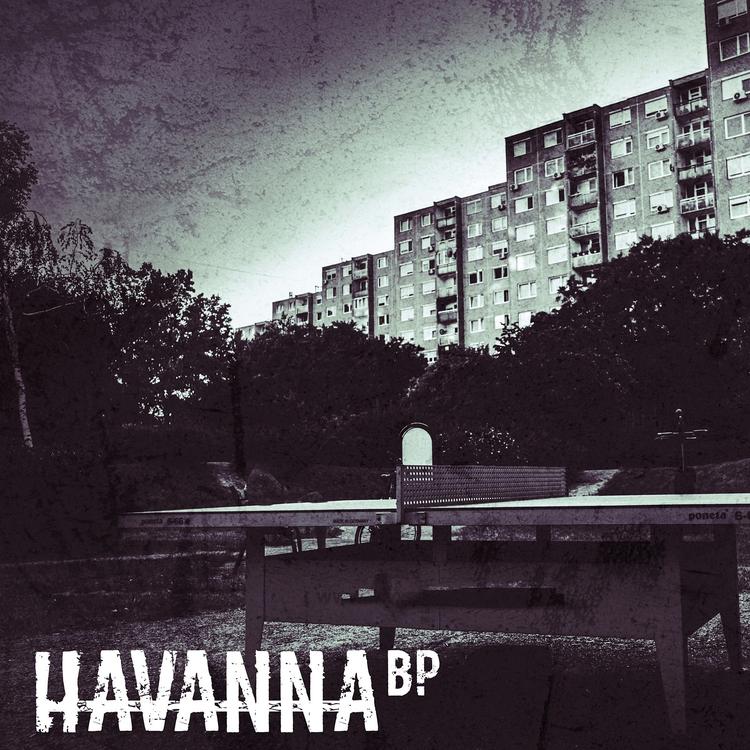 Havanna Bp's avatar image