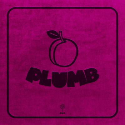 Plumb's cover