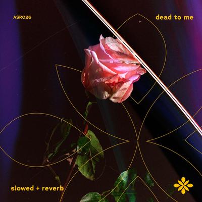 dead to me - slowed + reverb By slowed + reverb tazzy, sad songs, Tazzy's cover