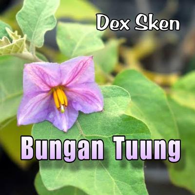 Bungan Tuung's cover