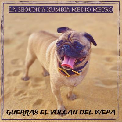 La Segunda Kumbia Medio Metro's cover