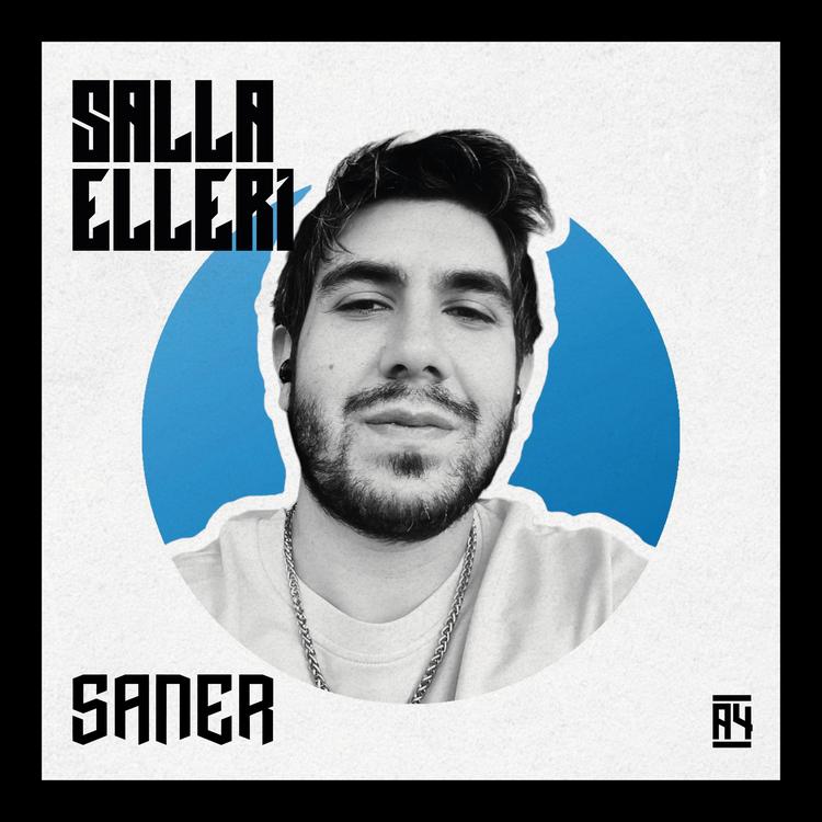 SANER's avatar image