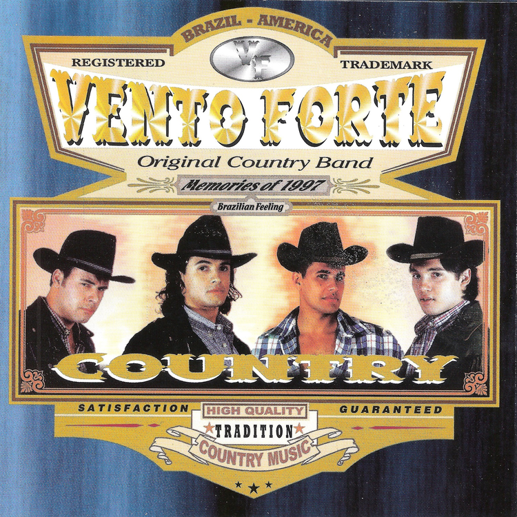 Vento Forte's avatar image