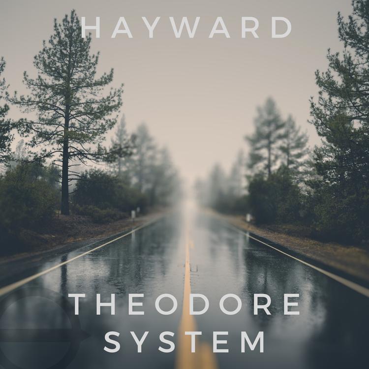 Theodore System's avatar image