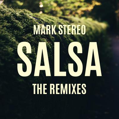 Salsa The Remixes's cover