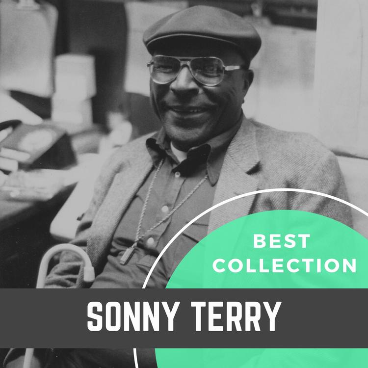 Sonny Terry's avatar image