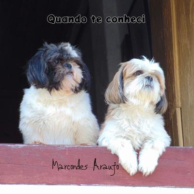 Quando Te Conheci By Marcondes Araujo's cover