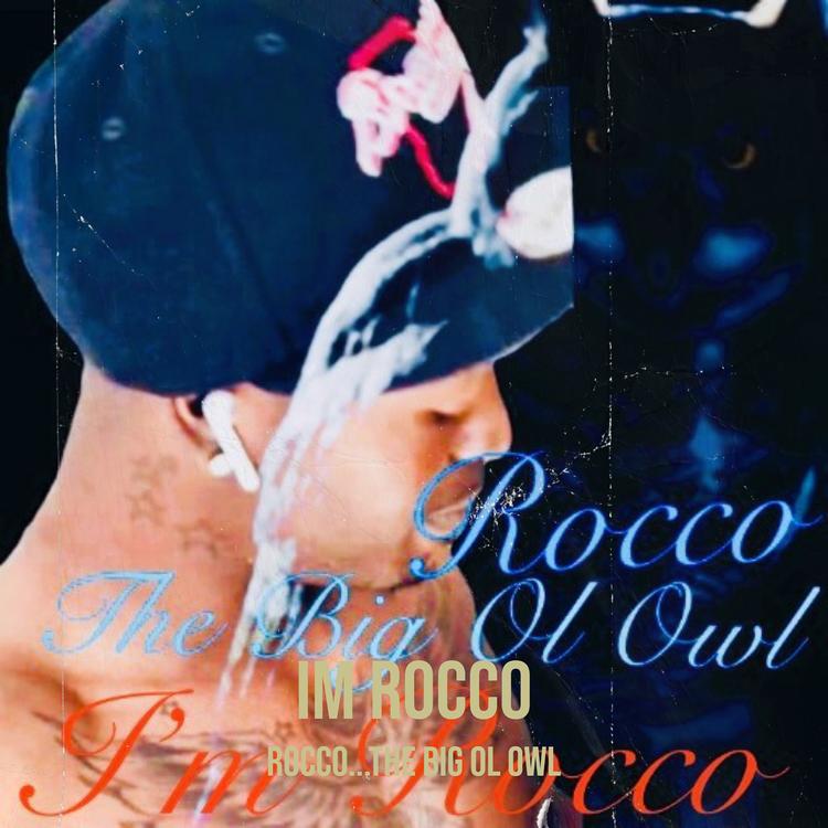 ROCCO...THE BIG OL OWL's avatar image