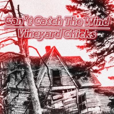 Can't Catch The Wind By Vineyard Chicks's cover