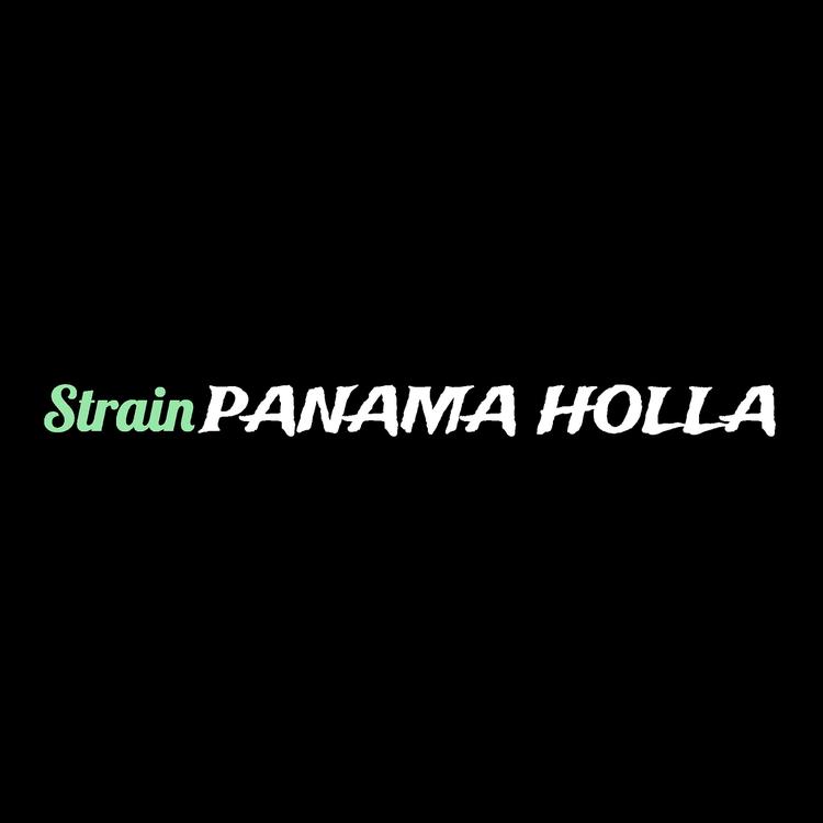 PaNaMa Holla's avatar image