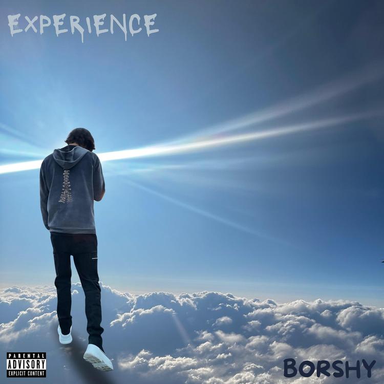 Borshy's avatar image