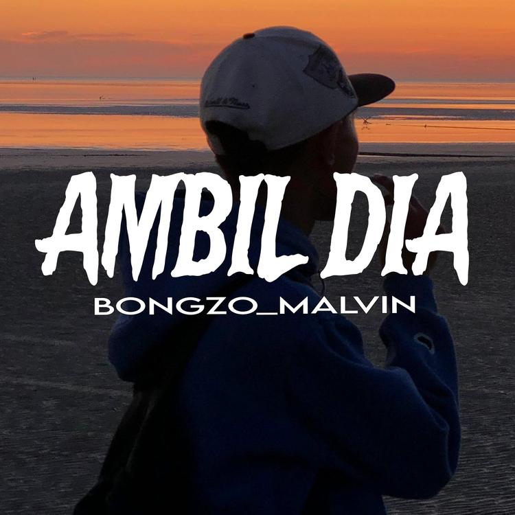 Bongzo Malvin's avatar image