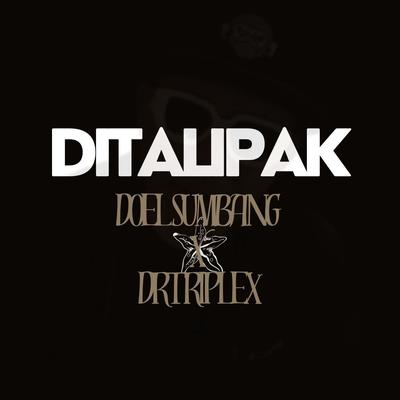 Ditalipak's cover