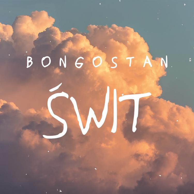 Bongostan's avatar image