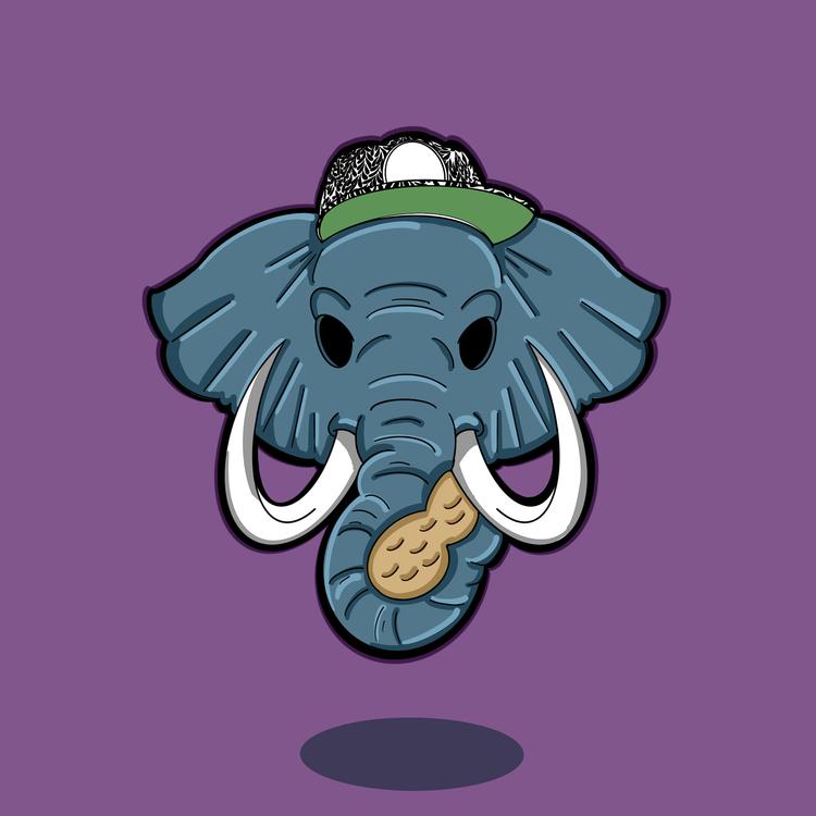 Peanut's avatar image