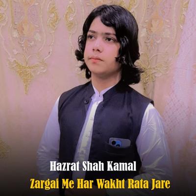 Zargai Me Har Wakht Rata Jare's cover