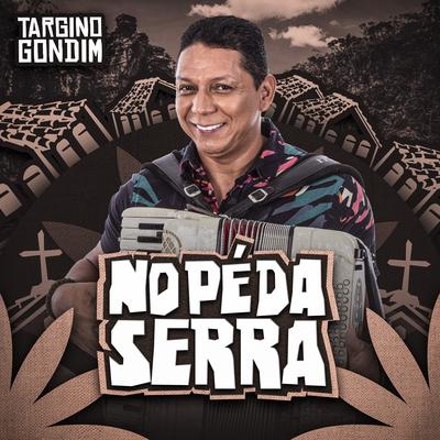 Fingindo Que Não Tá By Targino Gondim's cover