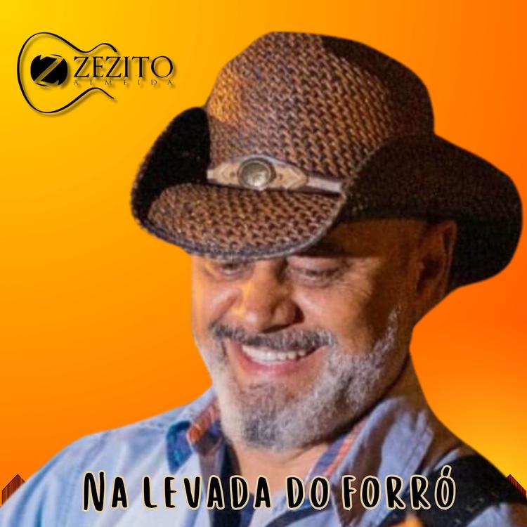 Zezito Almeida's avatar image