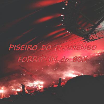 Piseiro do Flamengo forrózin do Box's cover