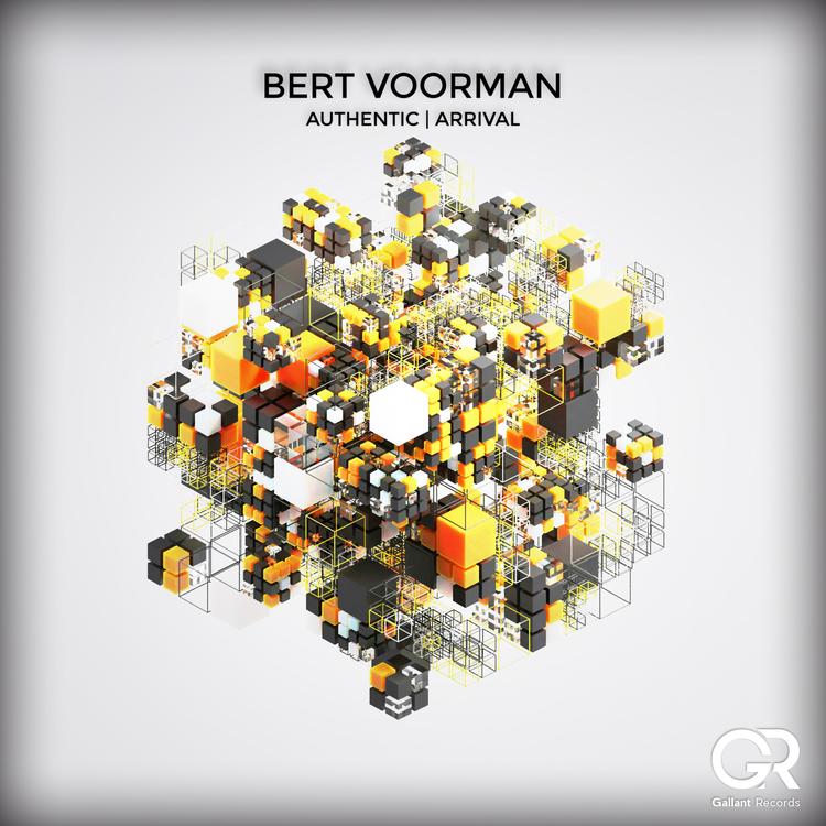 Bert Voorman's avatar image