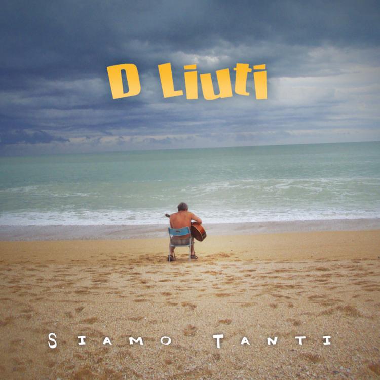 D Liuti's avatar image