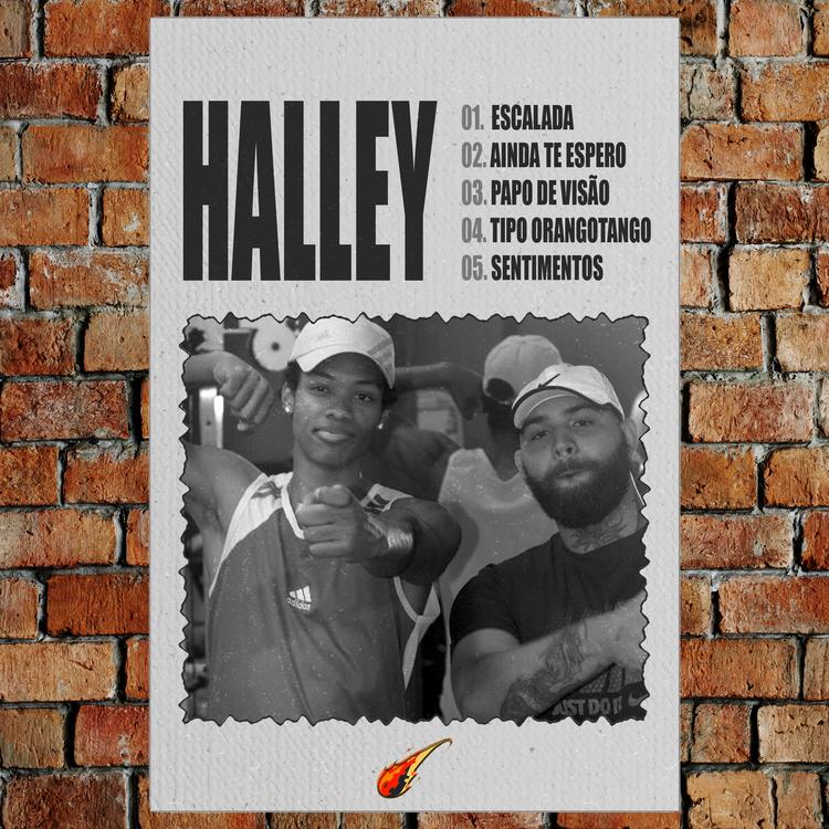 Halley's avatar image