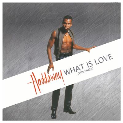 What Is Love (12'' Mix) By Haddaway's cover